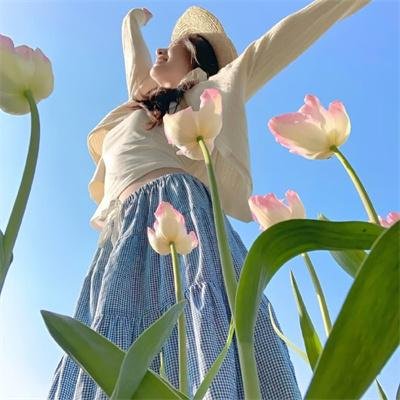 冰冻蜘蛛